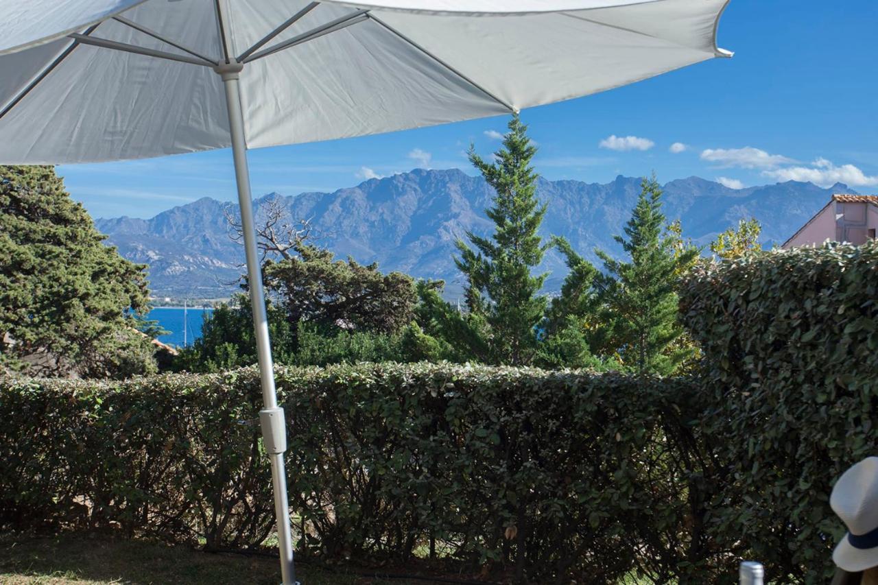 Mare Appart Avec Jardin Et Bbq Vue Mer Et Montagne Plage Et Port A 2 Pas كالفي المظهر الخارجي الصورة